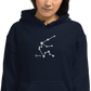 Unisex Affirmation Hoodie Zodiac Sign Edition: Aquarius "I am unique and creative"